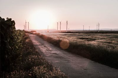 Road amidst field against sky during sunset