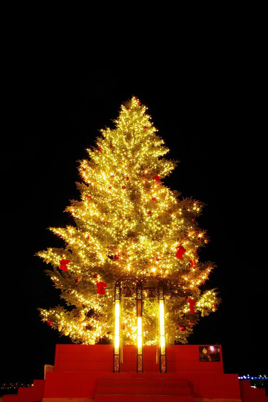 celebration, christmas, christmas tree, night, illuminated, no people, christmas decoration, christmas lights, low angle view, sky, outdoors, tree, vacations