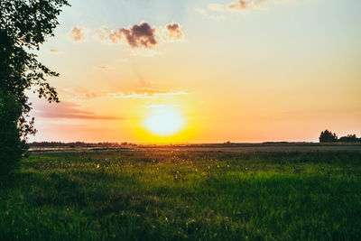 Scenic view of field against sky during sunset