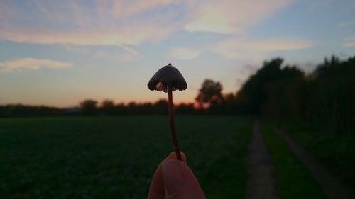 Scenic view of sky at sunset