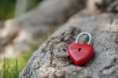 Close-up of heart shape stone