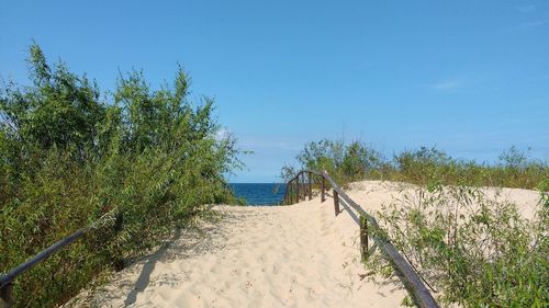 Scenic view of beach against clear blue sky