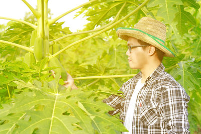 Young man looking at papaya