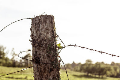 View of barbed wire fence against clear sky