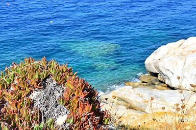 High angle view of rocks on beach