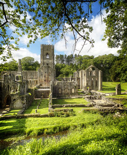 Old ruins in lawn