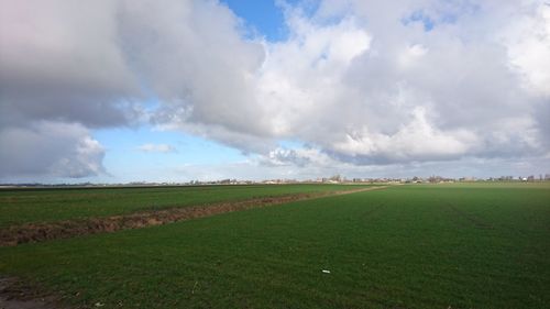 Scenic view of agricultural field against sky