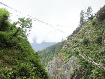 Low angle view of trees and mountains against sky