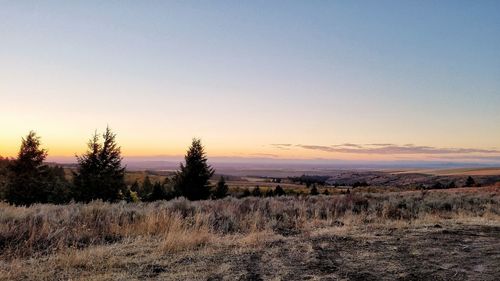 Scenic view of field against clear sky during sunset