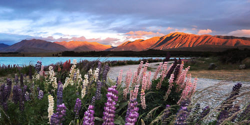 Scenic view of lake against cloudy sky