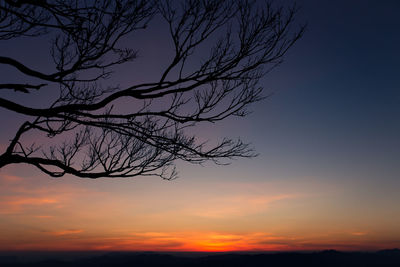 Low angle view of silhouette bare tree against sky during sunset