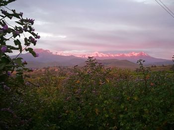 Scenic view of mountains against sky during sunset