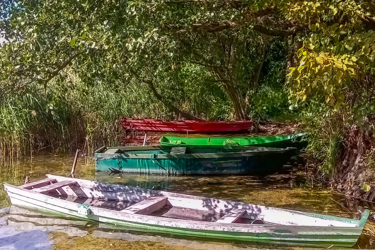 nautical vessel, plant, transportation, boat, moored, water, mode of transportation, vehicle, nature, tree, day, no people, canoe, watercraft, boating, growth, river, tranquility, outdoors, green, land, rowboat, beauty in nature, sunlight, waterway, grass, tranquil scene