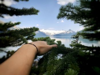 Cropped hands of person over trees against lake and sky