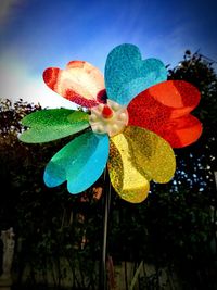 Close-up of multi colored flower against blue sky