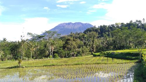 Scenic view of green landscape and lake against sky