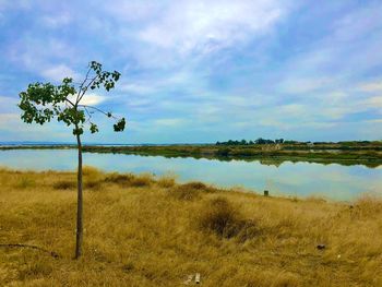 Scenic view of field against sky