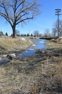 Stream flowing on field by bare tree against sky