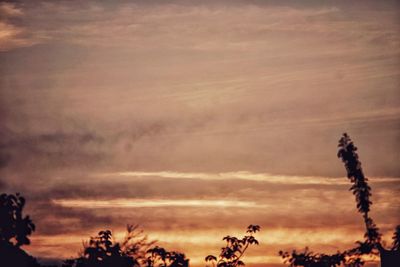 Silhouette trees against sky during sunset