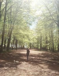 People walking in forest