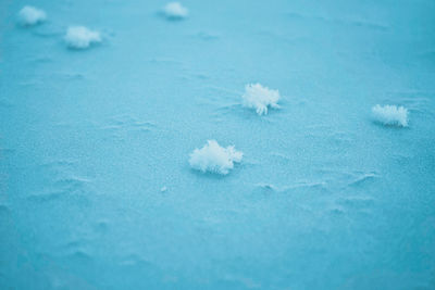 Close-up of snow on land