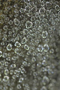 Extreme close up of water drops on glass