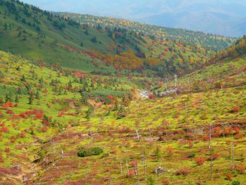 Scenic view of field against sky during autumn