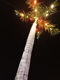 Low angle view of firework display