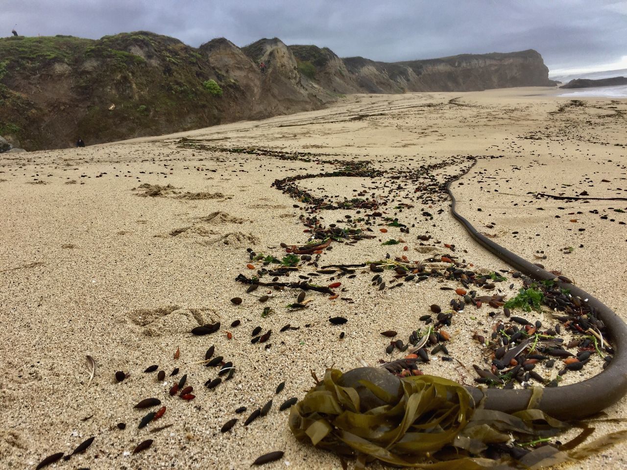 SURFACE LEVEL OF SANDY BEACH