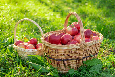 Close-up of apples in basket