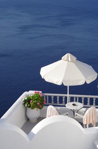 High angle view of white flowers on table at beach