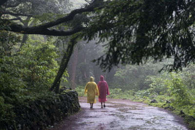 Rear view of friends wearing raincoat walking at bijarim forest during rainy season