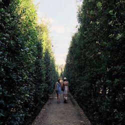 Women walking between hedge against sky