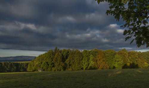 Scenic view of trees on landscape against sky