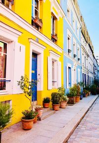 Potted plants by buildings in city