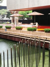 View of building with plants in foreground