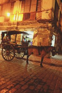 View of horse cart on street in city