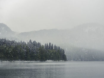 Scenic view of lake by trees during winter