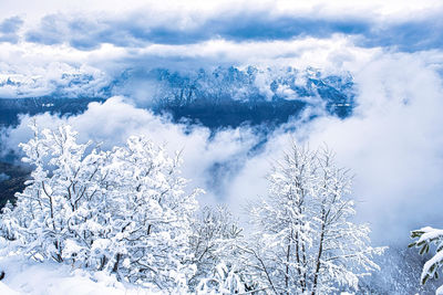 Aerial view of snow