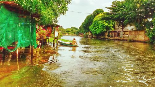 Reflection of trees in water