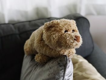 Stuffed bear relaxing on sofa at home