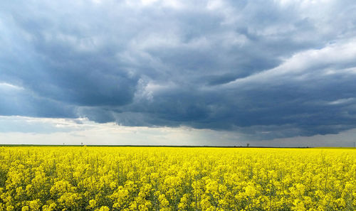 Scenic view of field against cloudy sky