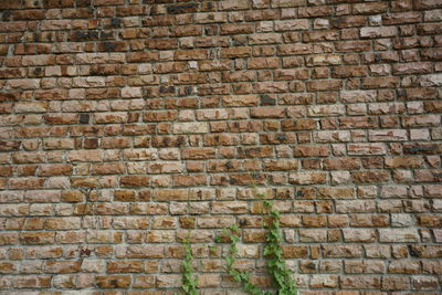 wall