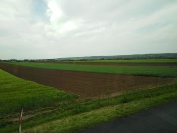 Scenic view of agricultural field against sky