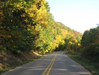 Road amidst trees against sky