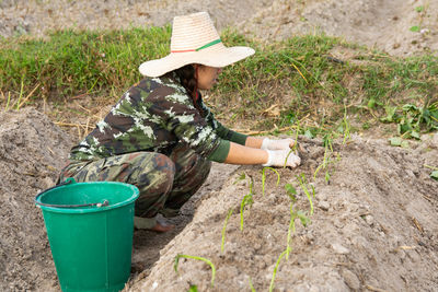 High angle view of woman crouching while plants in farm