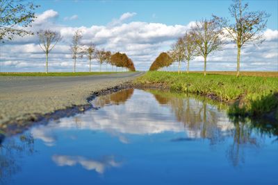 Reflection of trees in lake against sky