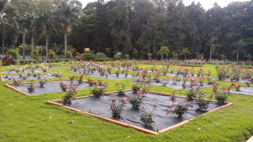 View of formal garden