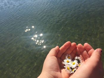 Cropped hands holding flowers against lake