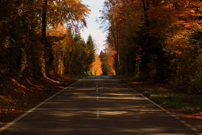 Empty road amidst trees during autumn